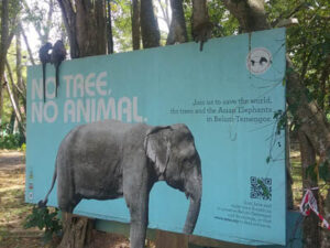 Mangrove @ Kuala Selangor