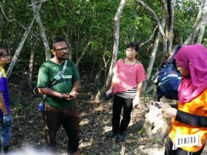 Mangrove @ Kuala Selangor