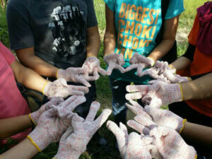 Mangrove @ Kuala Selangor